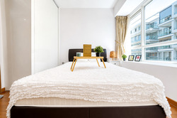Suites At Orchard (D9), Apartment #592428461